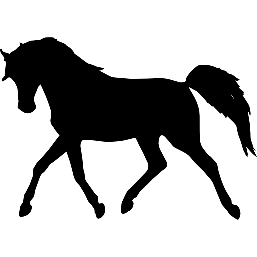 Arabian horse Silhouette Standing Horse - horse silhouette png download ...