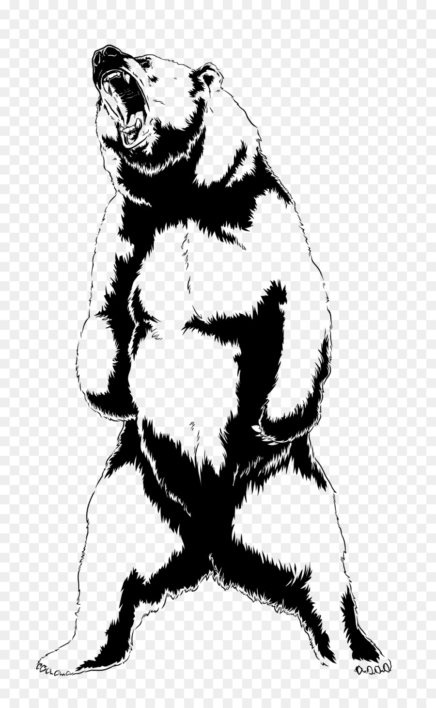Bear Roar Drawing Art - roar png download - 1920*3086 - Free Transparent Bear png Download.