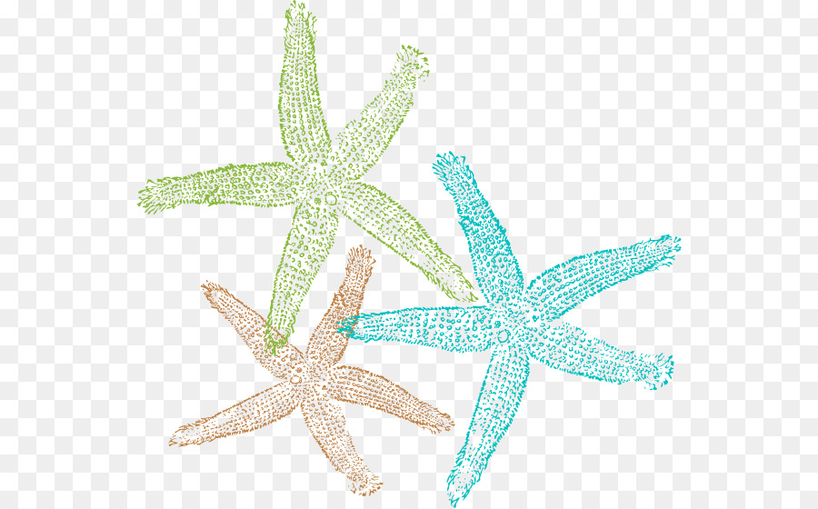 Starfish Sand dollar Logo Clip art - Free Download Of Starfish Icon Clipart png download - 600*559 - Free Transparent Starfish png Download.
