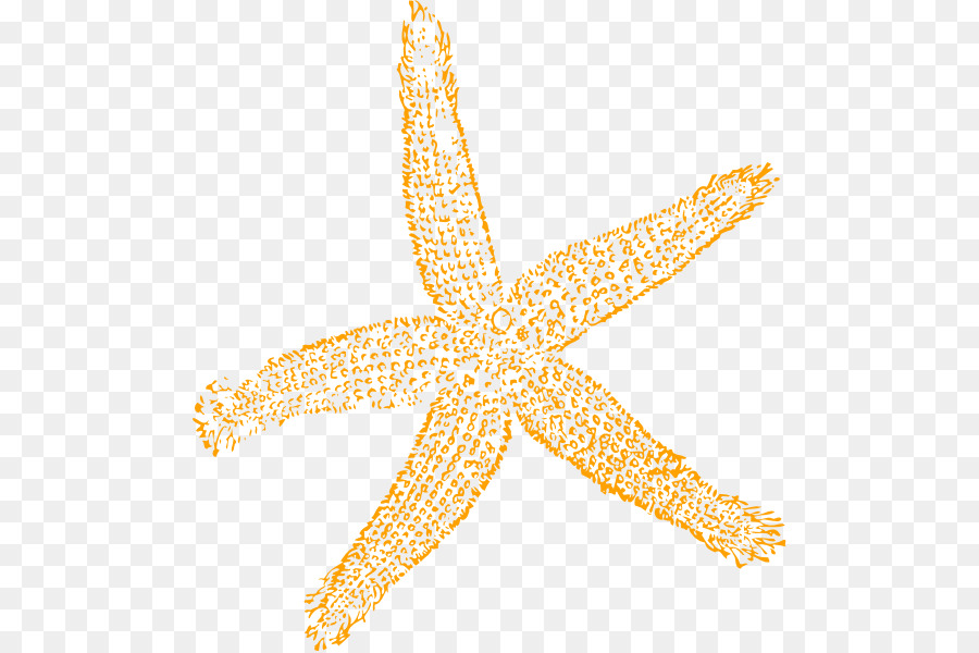 Starfish Free content Royalty-free Clip art - Starfish Cliparts Free png download - 546*598 - Free Transparent Starfish png Download.