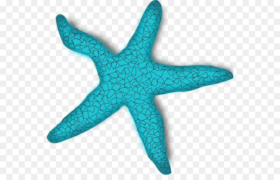 Starfish Clip art - Teal Fish Cliparts png download - 600*563 - Free Transparent Starfish png Download.