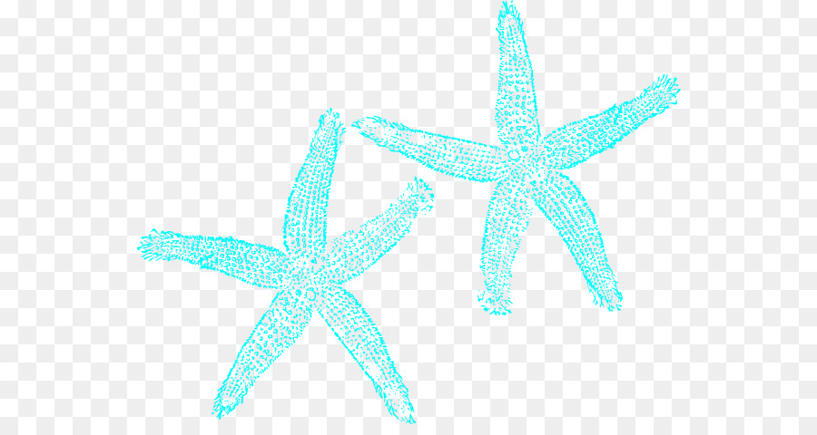 Turquoise Starfish Clip art - Turquoise Cliparts png download - 600*468 - Free Transparent Turquoise png Download.