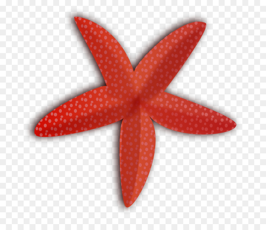 Starfish Free Clip art - Starfish Outline png download - 800*764 - Free Transparent Starfish png Download.