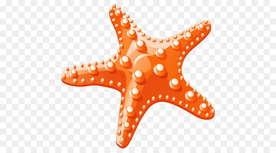 Starfish Clip art - Cartoon starfish material png download - 500*500 - Free Transparent Starfish png Download.