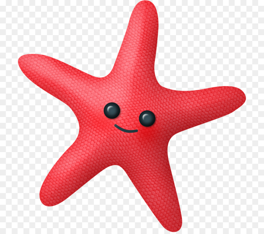 Starfish Cartoon Sea Clip art - starfish png download - 780*795 - Free Transparent Starfish png Download.