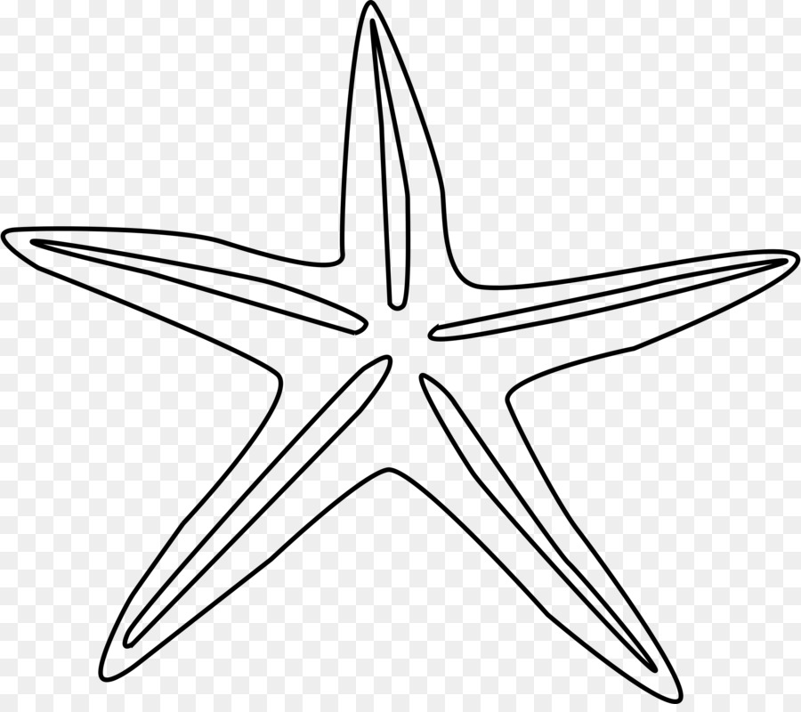 Drawing Starfish Echinoderm Clip art Illustration - silhouette turtle png sea png download - 2400*2109 - Free Transparent Drawing png Download.