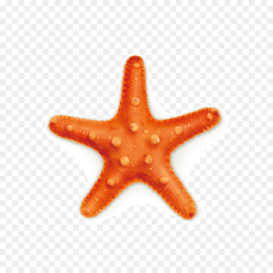 Starfish Royalty-free Stock photography Illustration - Starfish vector png download - 2362*2362 - Free Transparent Starfish png Download.