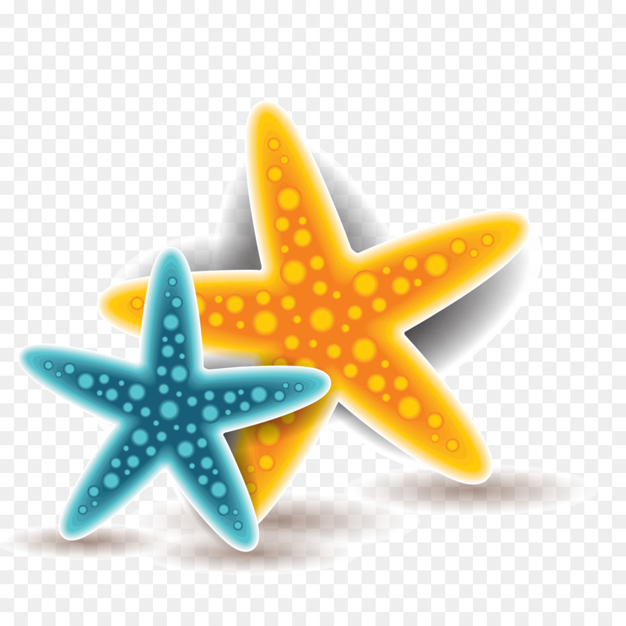 Starfish Euclidean vector - Vector colored starfish png download - 2144*2144 - Free Transparent Starfish png Download.