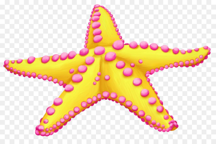Starfish Clip art Sea Image - starfish png download - 1280*831 - Free Transparent Starfish png Download.