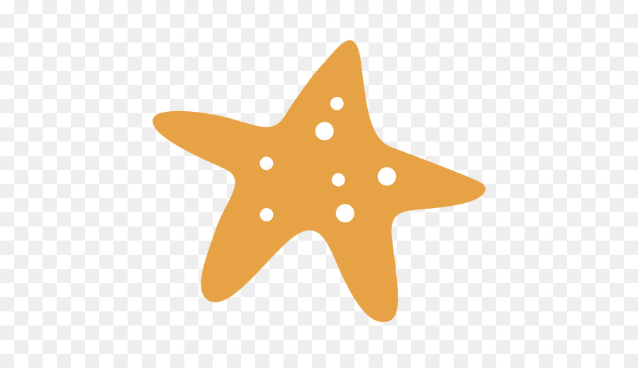 Starfish Drawing Animation - sea star png download - 512*512 - Free Transparent Starfish png Download.