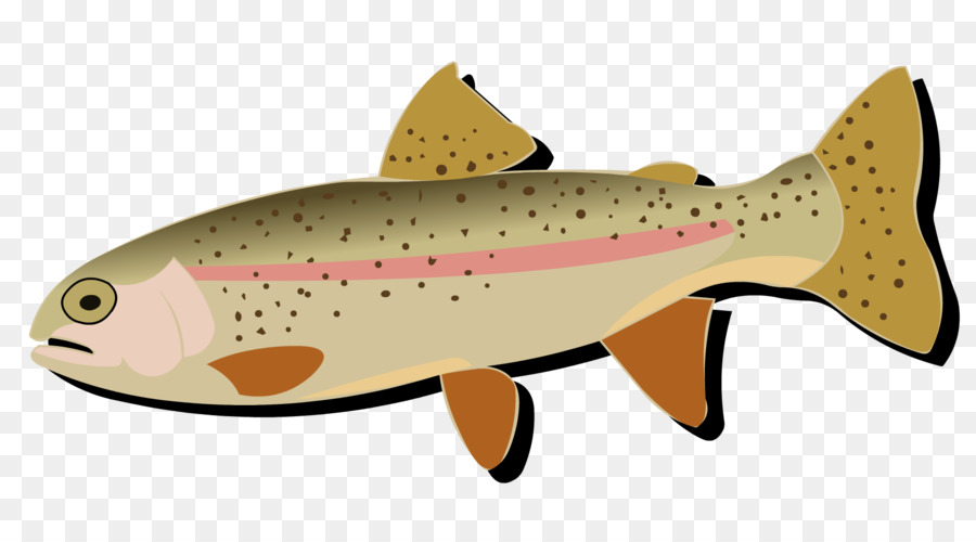 Salmon Cutthroat trout Rainbow trout Fish - fishing scene png download - 1833*1018 - Free Transparent Salmon png Download.
