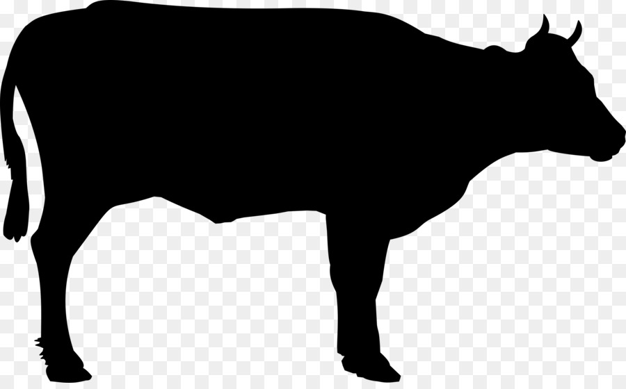Beef cattle Welsh Black cattle Clip art - clarabelle cow png download - 2400*1468 - Free Transparent Beef Cattle png Download.