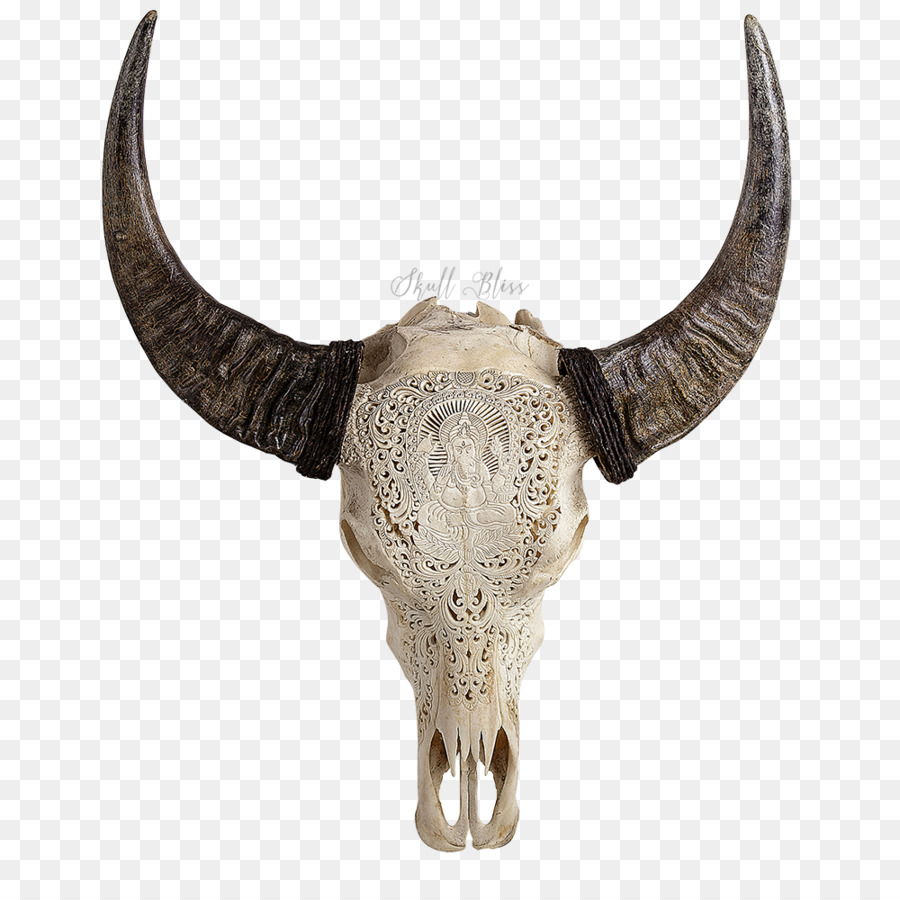 Human skull symbolism Horn American bison Cattle - skull png download - 1000*1000 - Free Transparent Skull png Download.