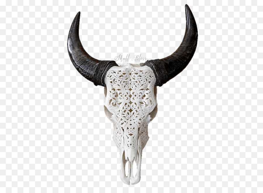 Texas Longhorn English Longhorn Skull Goat - buffalo horns png download - 645*645 - Free Transparent Texas Longhorn png Download.