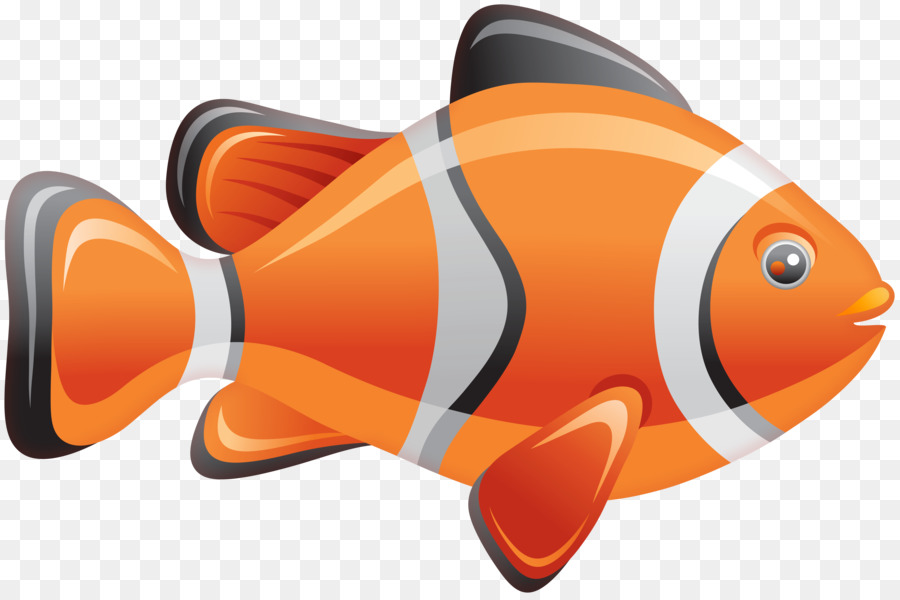 Vector graphics Stock illustration Stock photography Royalty-free - clownfish map png download - 8000*5311 - Free Transparent Stock Photography png Download.