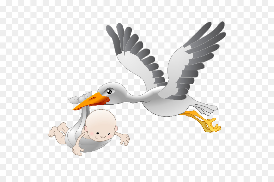 Infant Stork Clip art - stork png download - 600*600 - Free Transparent Infant png Download.