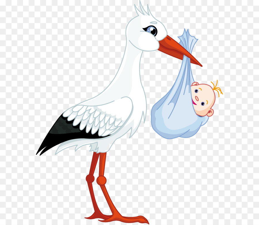 Infant Stork Stock photography Clip art - stork baby PNG png download - 2071*2479 - Free Transparent Infant png Download.