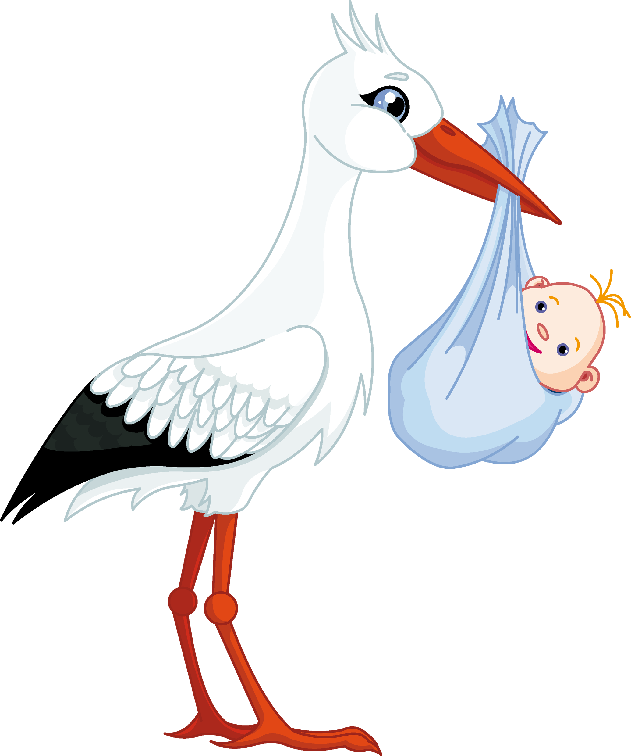 Infant Stork Stock photography Clip art - stork baby PNG png download ...