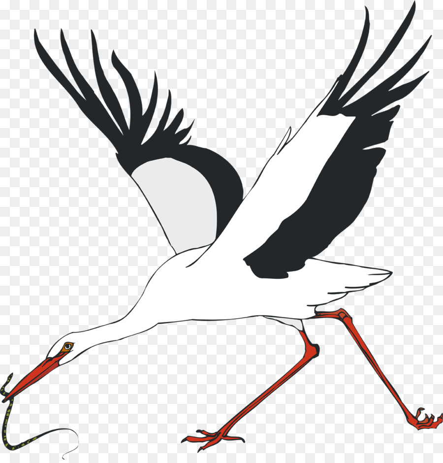 White stork Water bird Crane - stork png download - 1158*1200 - Free Transparent White Stork png Download.