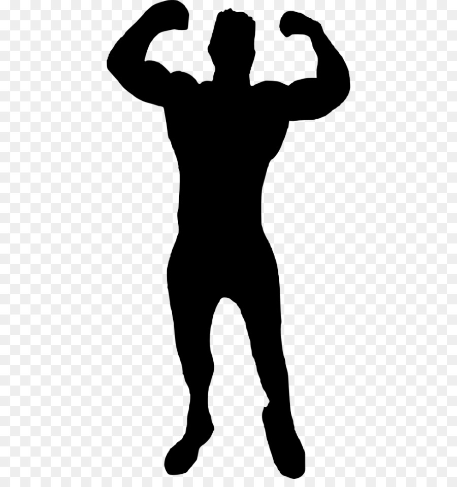 Bodybuilding Muscle Clip art - bodybuilding png download - 480*944 - Free Transparent Bodybuilding png Download.