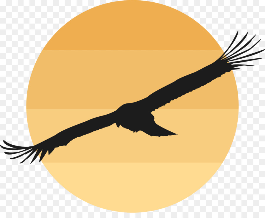 Bird Domestic goose Clip art - The wild goose in the setting sun png download - 1248*1001 - Free Transparent Bird png Download.