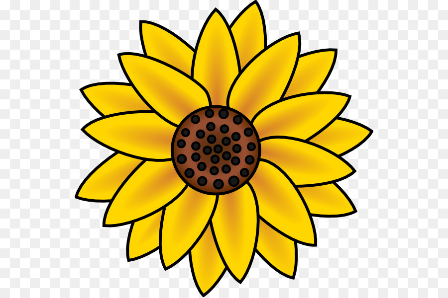Common sunflower Free content Clip art - Country Flowers Cliparts png download - 600*598 - Free Transparent Common Sunflower png Download.