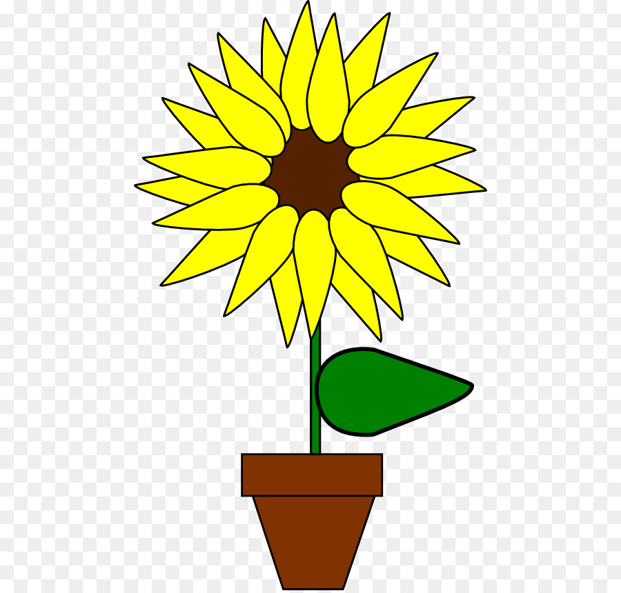 Common sunflower Plant Clip art - cartoon sunflower png download - 512*856 - Free Transparent Common Sunflower png Download.