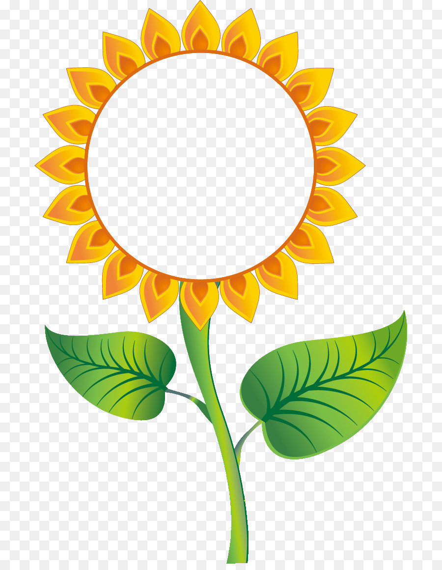 Vector graphics Common sunflower Sunflowers Poster - flower png download - 759*1147 - Free Transparent Common Sunflower png Download.