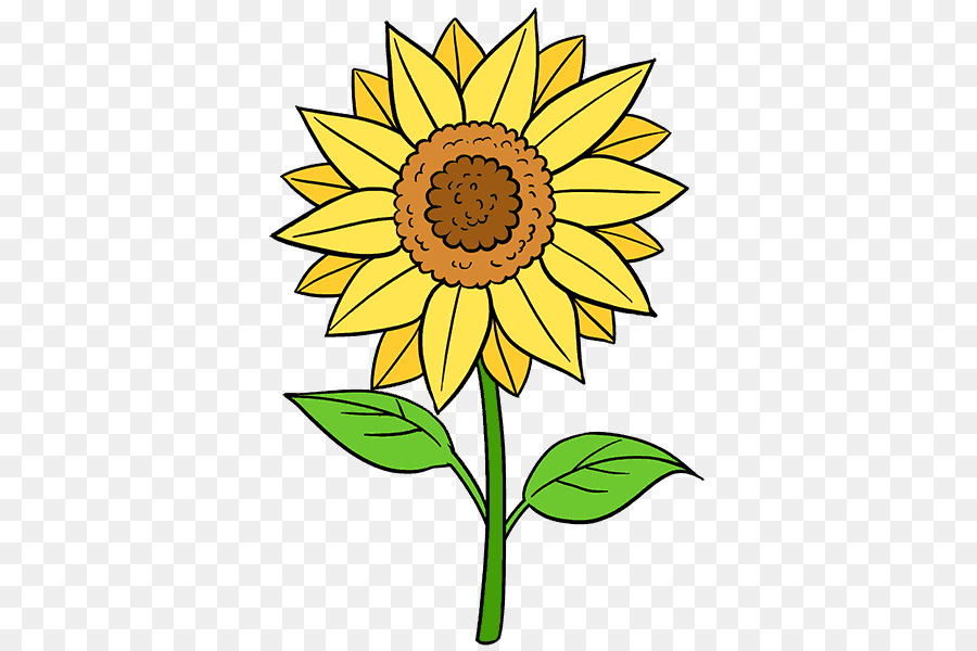 Drawing Common sunflower Painting Art Sketch - sunflower leaf png download - 678*600 - Free Transparent Drawing png Download.