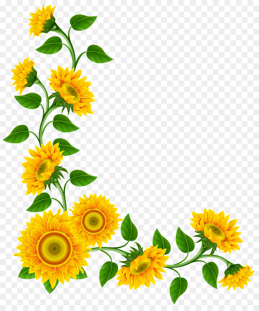 Free content Clip art - Sunflower Border Cliparts png download - 4316*5130 - Free Transparent Free Content png Download.