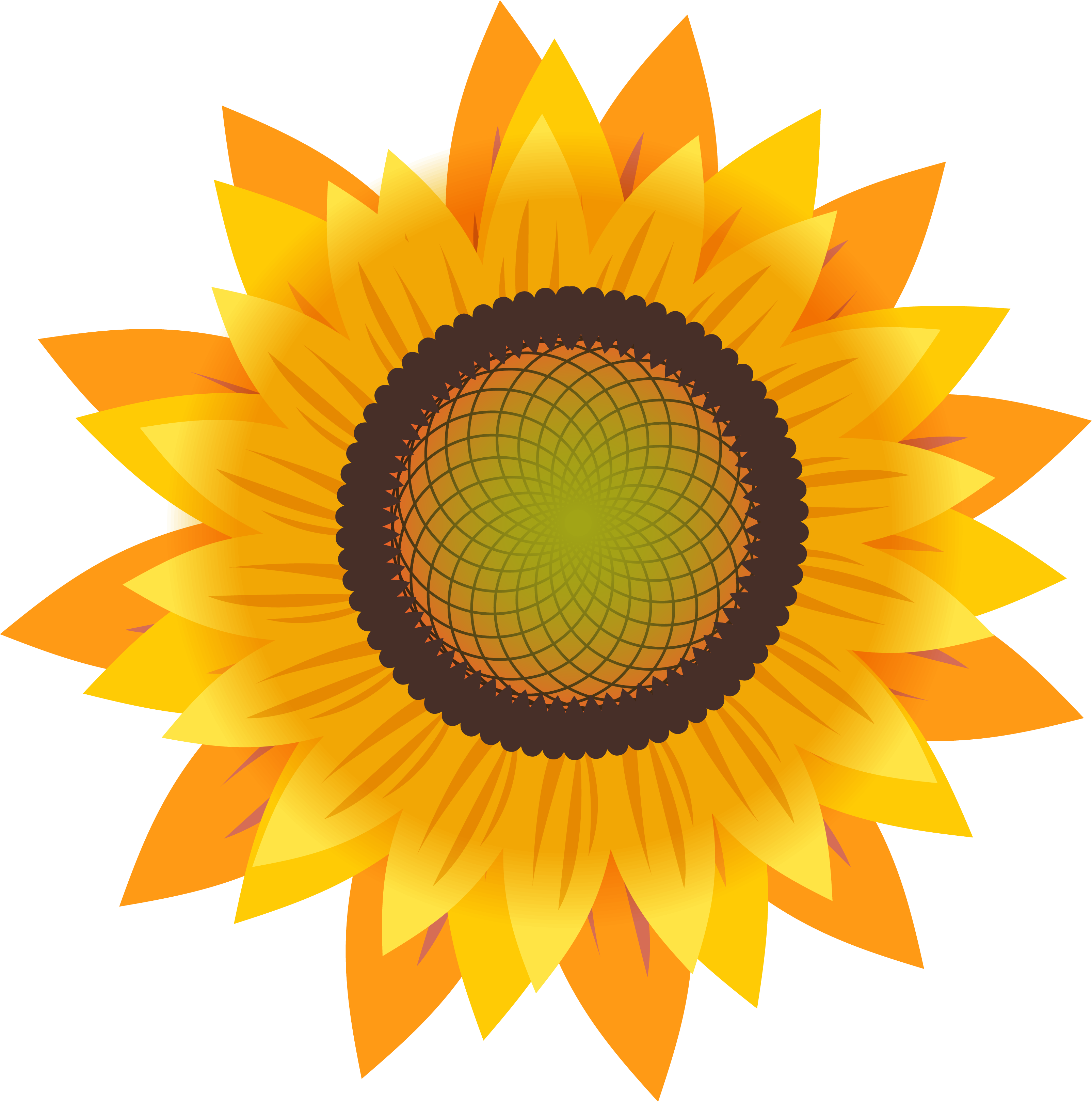 Sunflower PNG Transparent Background And Clipart Image For Free Download -  Lovepik | 401301000