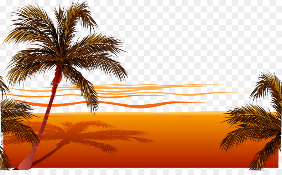 Beach Sunset Clip art - Vector beach png download - 1157*703 - Free Transparent Beach png Download.