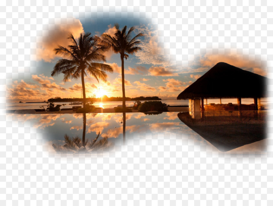 Desktop Wallpaper Photograph Image Sunset Beach - beach png download - 980*735 - Free Transparent Desktop Wallpaper png Download.