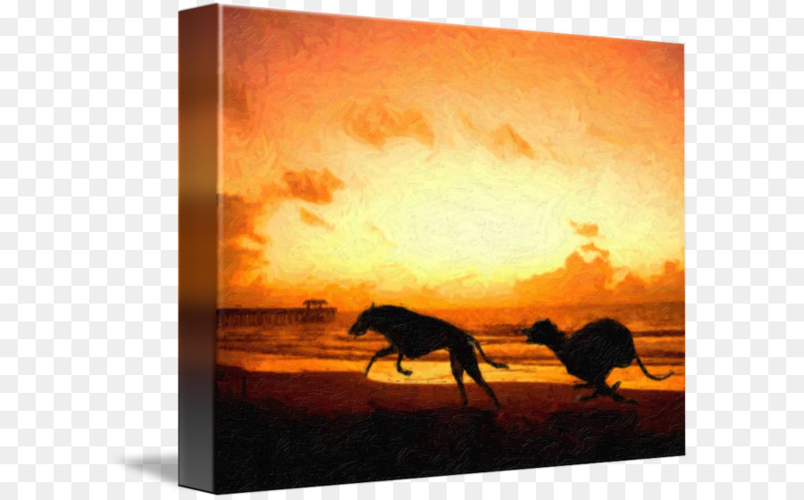 Greyhound Painting Canvas print Art - beach sunset png download - 650*560 - Free Transparent Greyhound png Download.