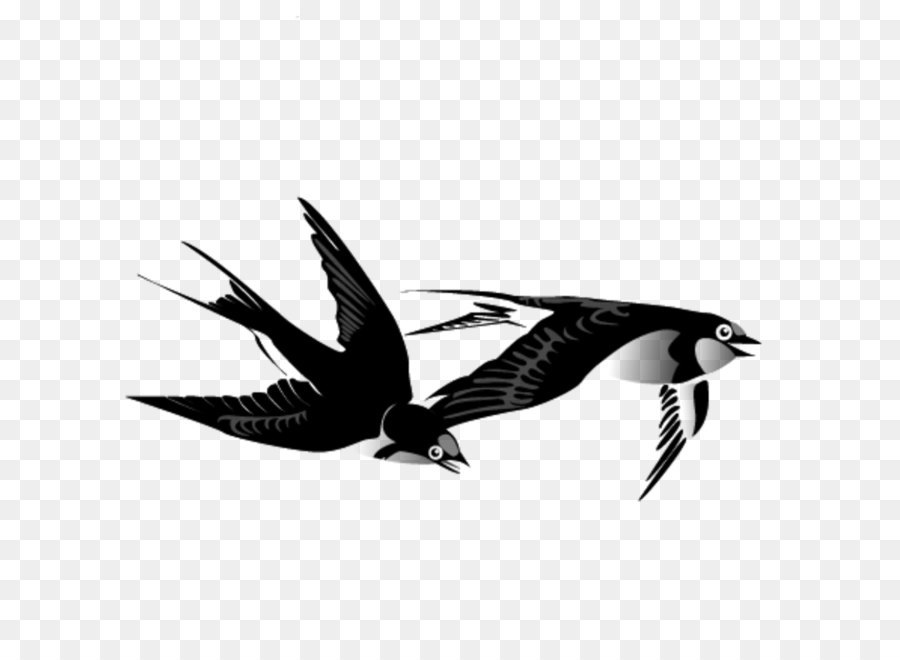 Swallow Bird Ink wash painting Chinese painting - Swallow png download - 1417*1417 - Free Transparent Swallow png Download.