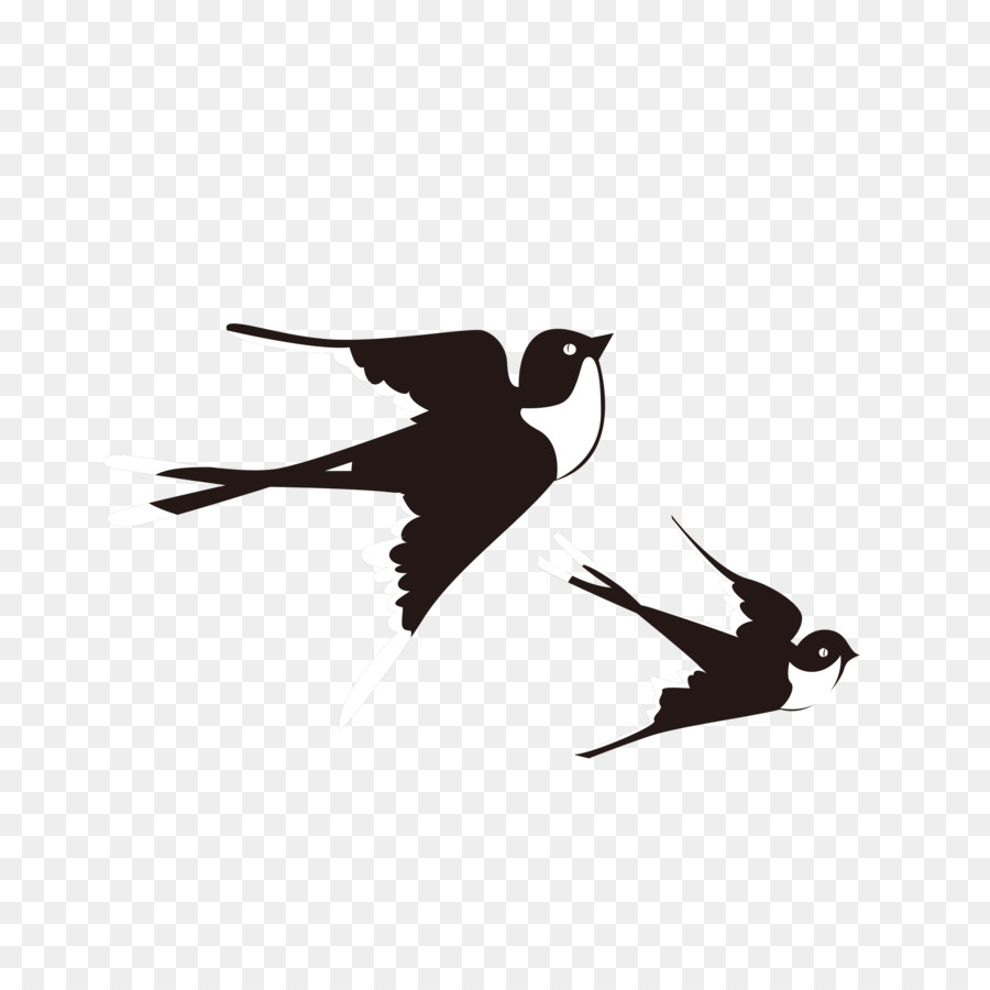 Swallow Bird Lichun - Swallows fly png download - 2953*2953 - Free Transparent Swallow png Download.