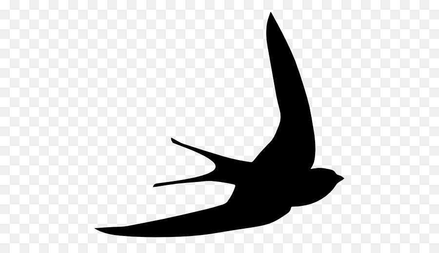Bird Swallow Common swift Swiftlet Shape - Bird png download - 512*512 - Free Transparent Bird png Download.