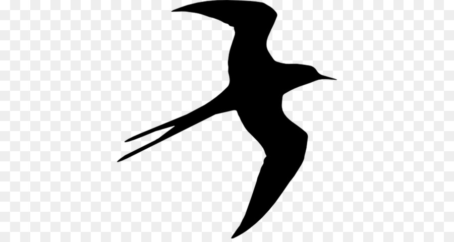 Silhouette Bird Swallow Beak Drawing - Silhouette png download - 1200*630 - Free Transparent Silhouette png Download.