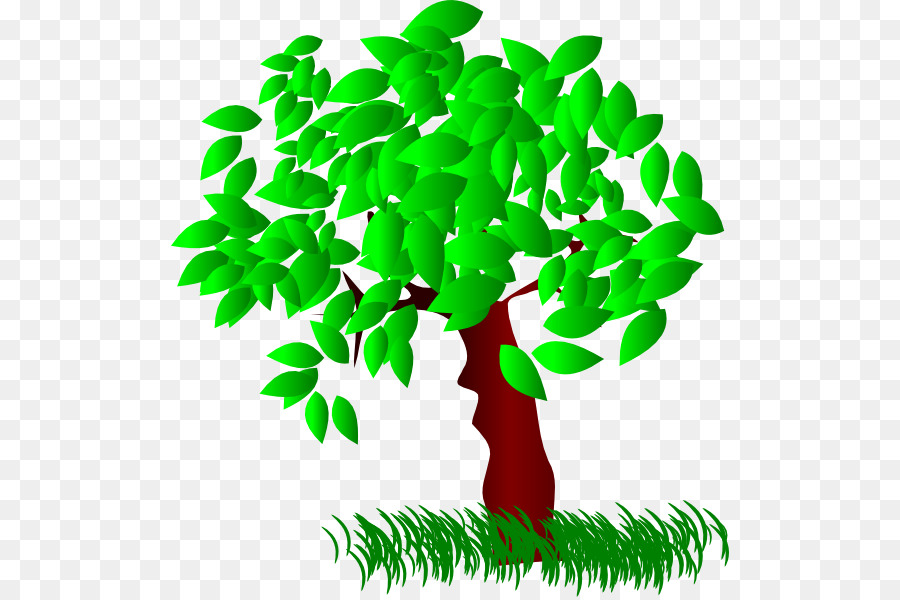Tree Quercus bicolor Swamp Spanish oak Pruning Clip art - Summer Tree Cliparts png download - 558*597 - Free Transparent Tree png Download.