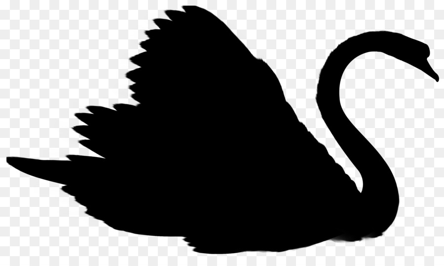 Duck Swans Goose Clip art Silhouette -  png download - 3373*1971 - Free Transparent Duck png Download.