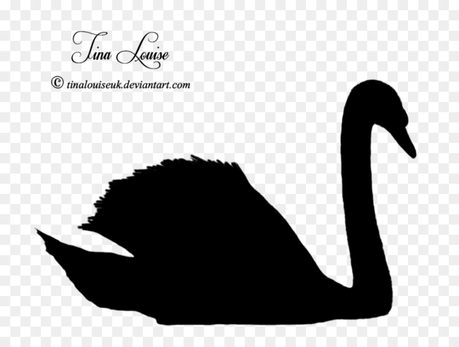 Duck Goose Silhouette Black swan Clip art - black swan png download - 1024*768 - Free Transparent Duck png Download.