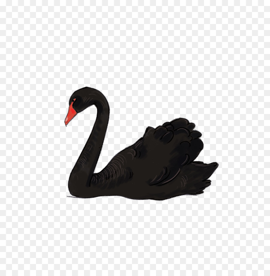 Black swan Download - Black swan PNG png download - 656*927 - Free Transparent Black Swan png Download.