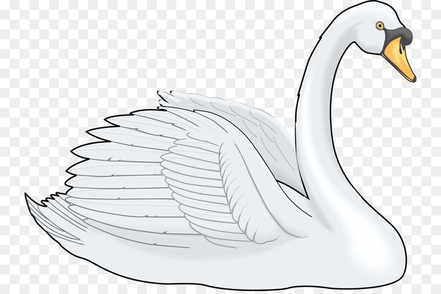 Cygnini Painting Clip art - White Swan png download - 800*594 - Free Transparent Cygnini png Download.