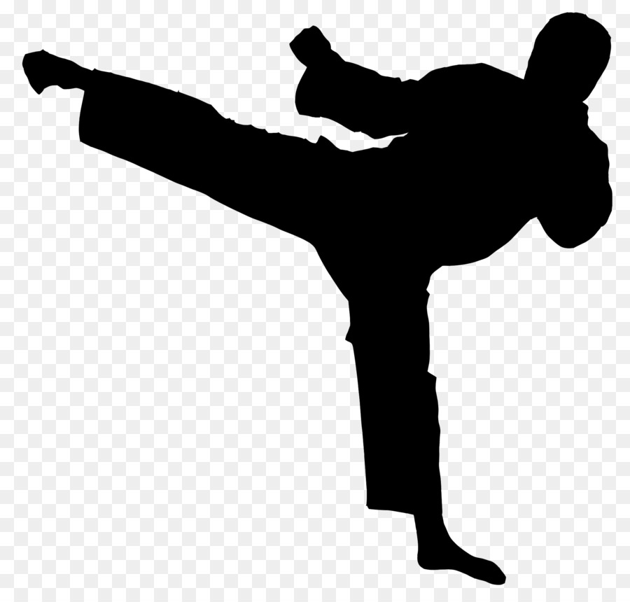 Chinese martial arts Karate Taekwondo Kuk Sul Do - karate png download - 2176*2056 - Free Transparent Martial Arts png Download.