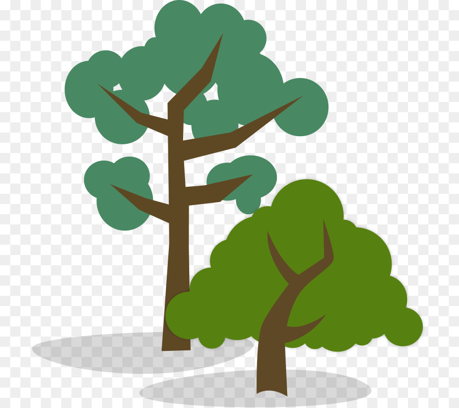 Tree Woody plant Branch Clip art - tall vector png download - 774*800 - Free Transparent Tree png Download.