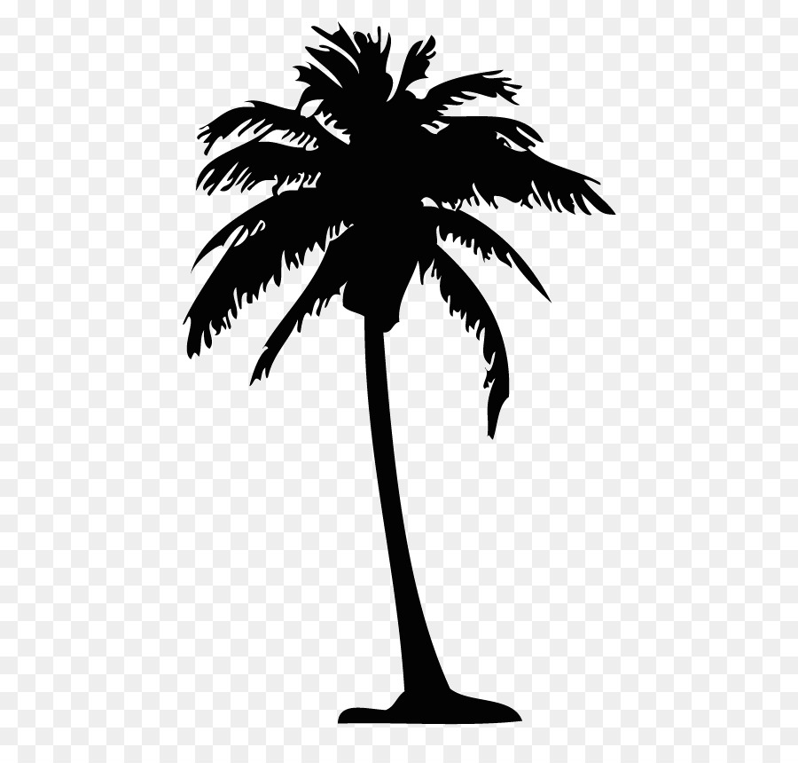 Arecaceae Silhouette Drawing Tree Clip art - Silhouette png download - 595*842 - Free Transparent Arecaceae png Download.