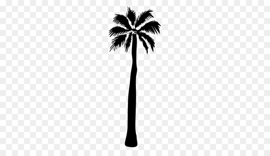 Asian palmyra palm Silhouette Arecaceae - Silhouette png download - 512*512 - Free Transparent Asian Palmyra Palm png Download.