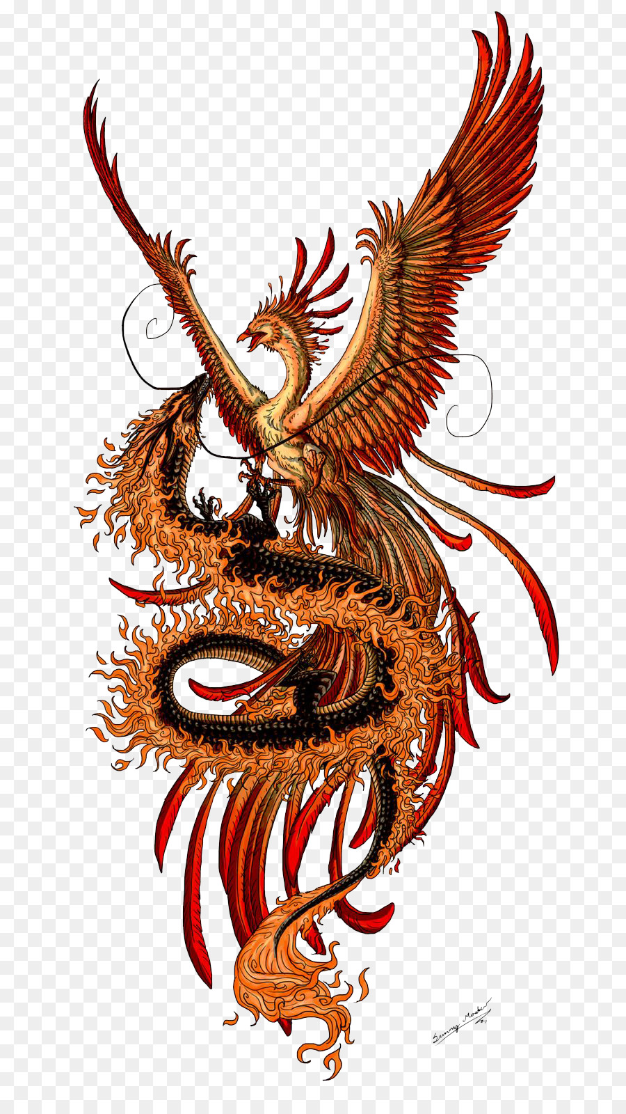 Phoenix Chinese dragon Fenghuang Tattoo - Phoenix Tattoos PNG Transparent Images png download - 736*1588 - Free Transparent Phoenix png Download.