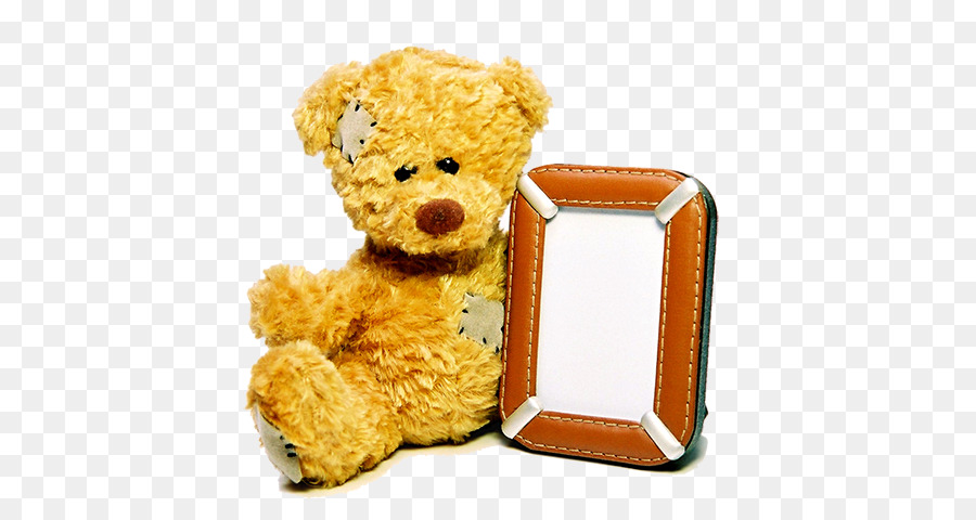 Child stock.xchng Stock photography Royalty-free - Bear toy frame png download - 567*474 - Free Transparent  png Download.