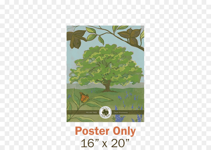 Texas Tennessee State tree Branch - juice posters png download - 600*629 - Free Transparent Texas png Download.